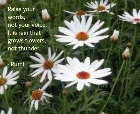 Wednesday Words of Wisdom – Raise Your Words