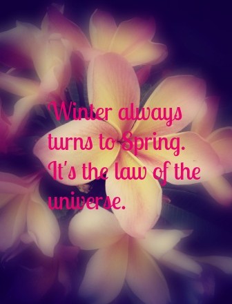 Wednesday Words of Wisdom – Winter always turns to Spring.