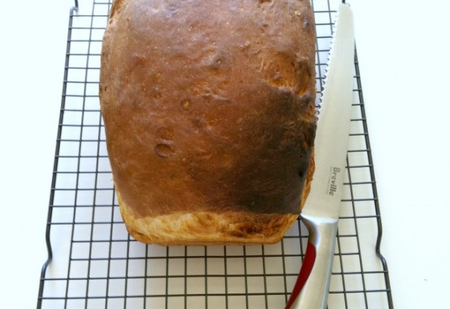 Thermomix Easy Everyday White Bread