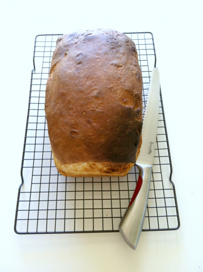 Thermomix Easy Everyday White Bread