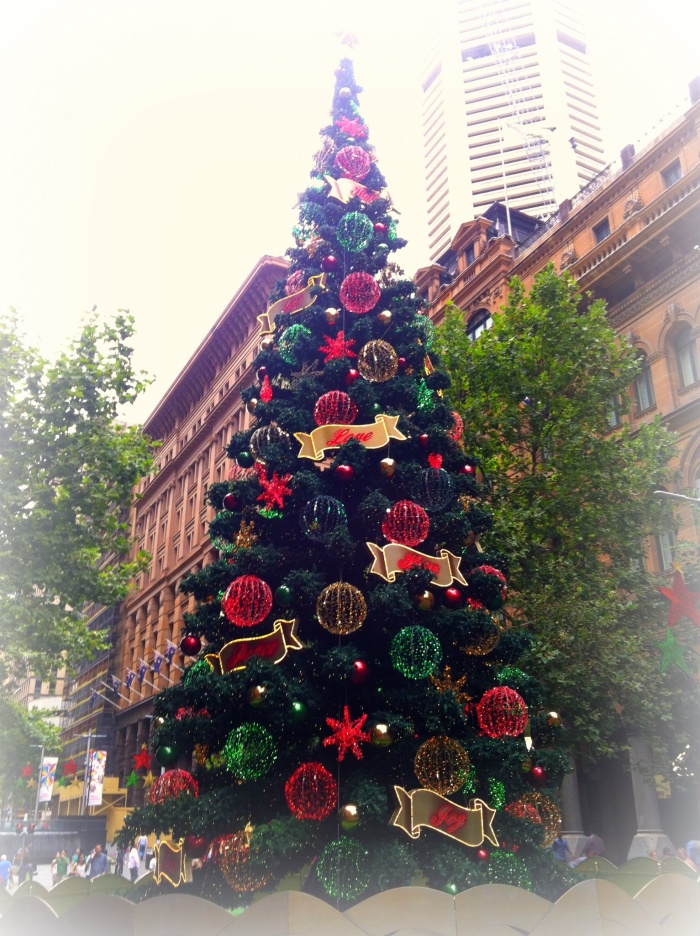 Martin Place Christmas Tree