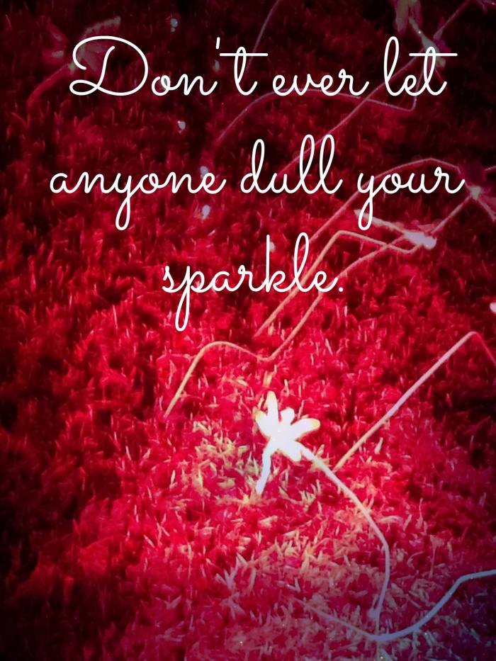 Don't let anyone dull your sparkle