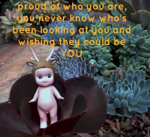 Wednesday Words of Wisdom – Be Proud of Who You Are