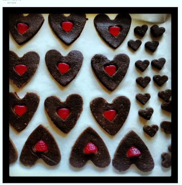 Lisbeth's Chocolate Spice Biscuits
