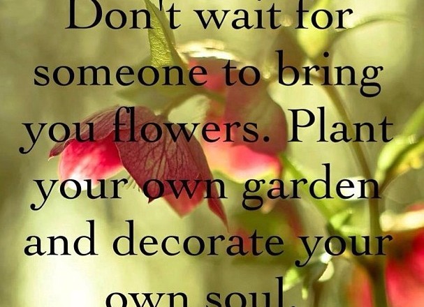 Wednesday Words of Wisdom – Plant Your Own Garden