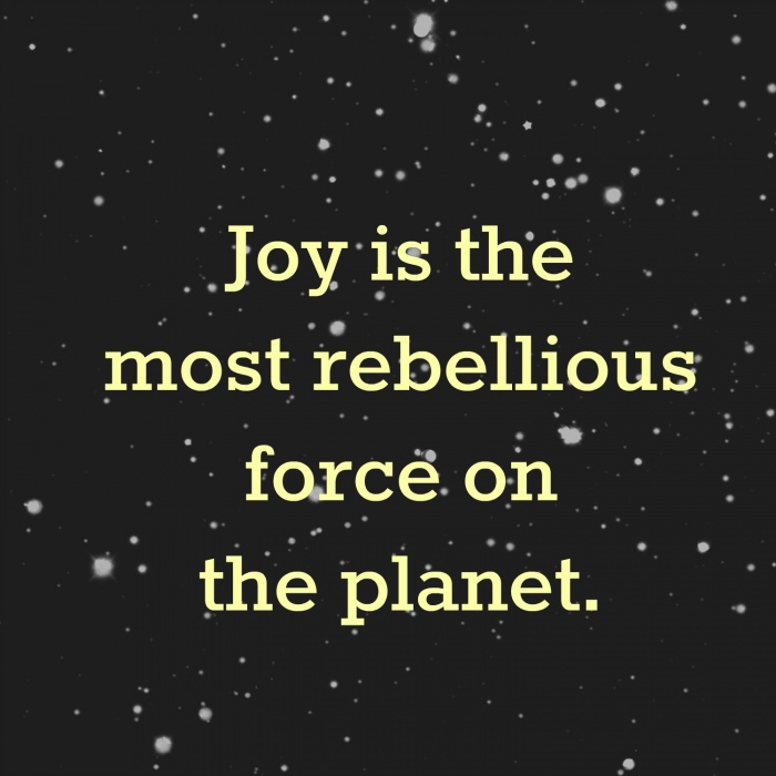 Joy is the most rebellious force on the planet