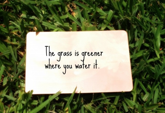 Wednesday Words of Wisdom – The grass is greener