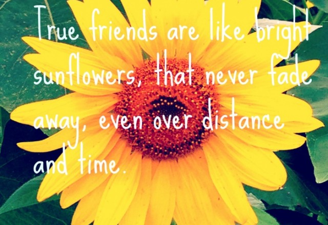 Wednesday Words of Wisdom – Friends are like sunflowers