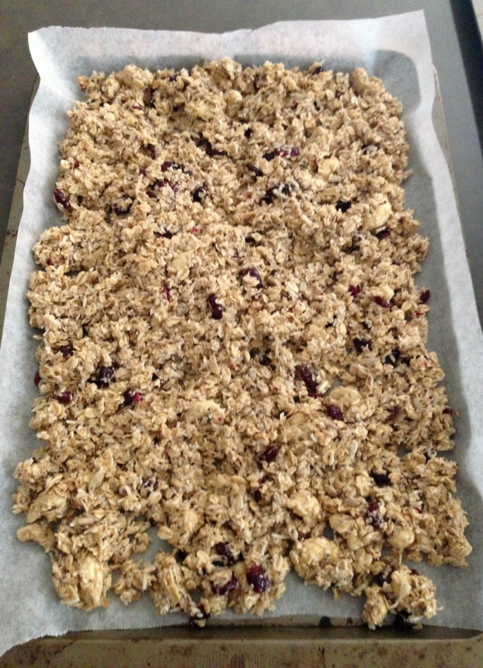 thermomix-granola-2