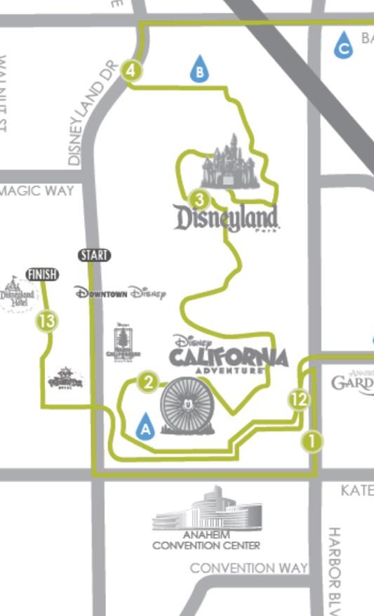 My Disneyland Dream in  Numbers