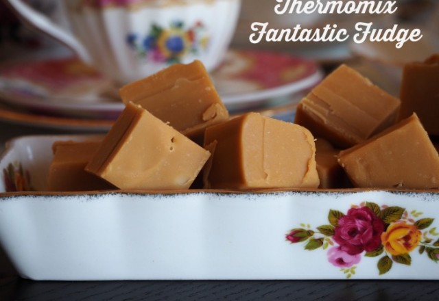 Thermomix Fantastic Fudge