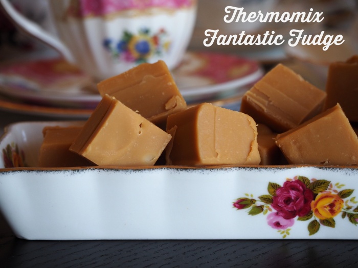 Thermomix Fantastic Fudge