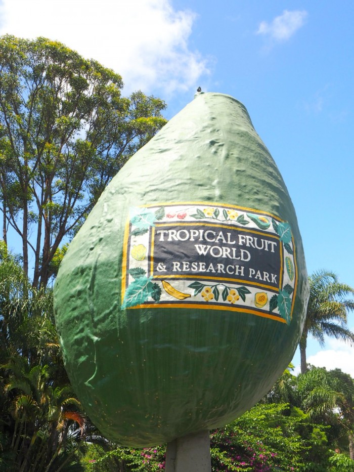 The Big Avocado