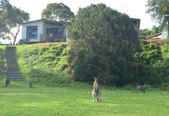 The NSW South Coast’s Best Kept Secret