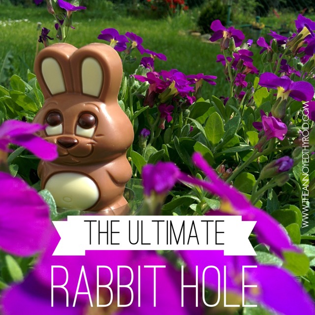 Rabbit Hole 6