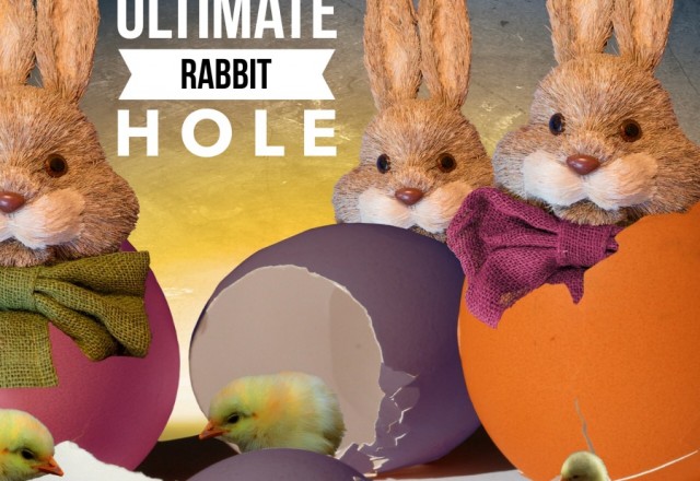 The Ultimate Rabbit Hole #12