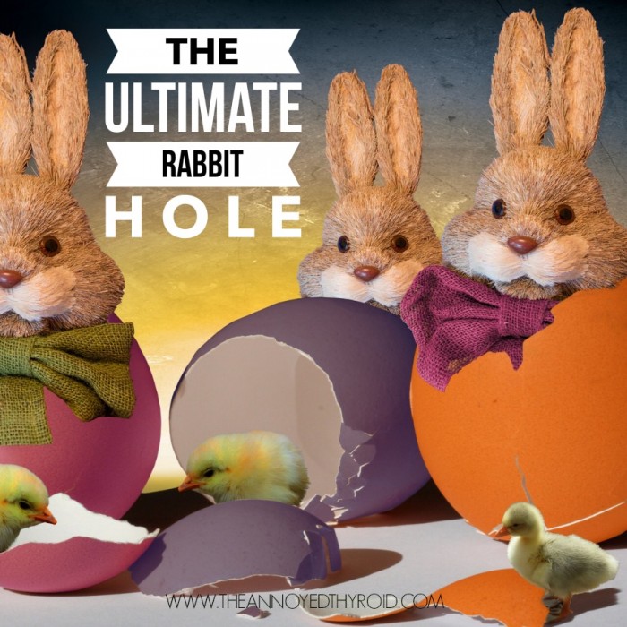 Ultimate Rabbit Hole 12