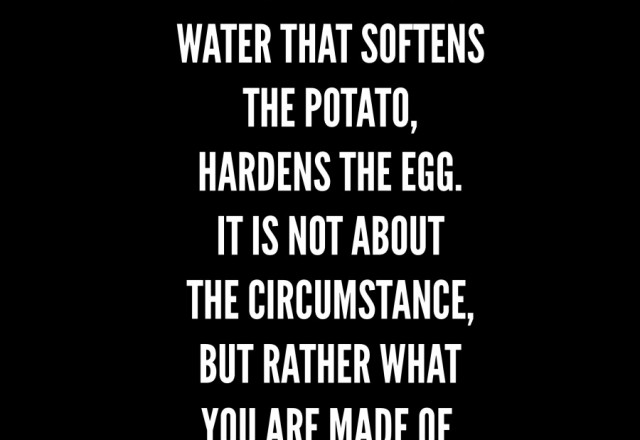Wednesday Words of Wisdom – The Potato and the Egg