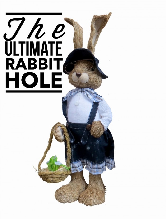 Rabbit Hole 13