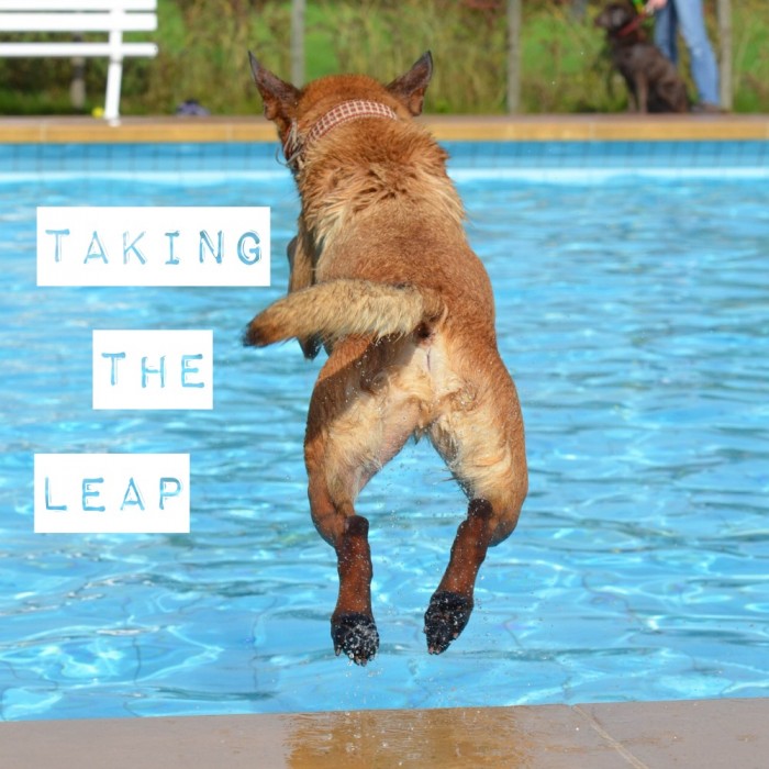 Taking the leap