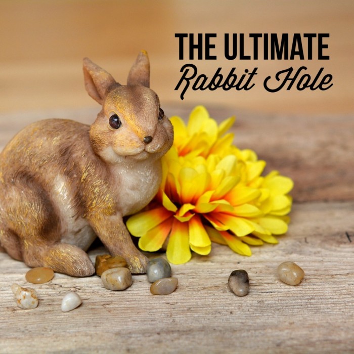 The Ultimate Rabbit Hole #21