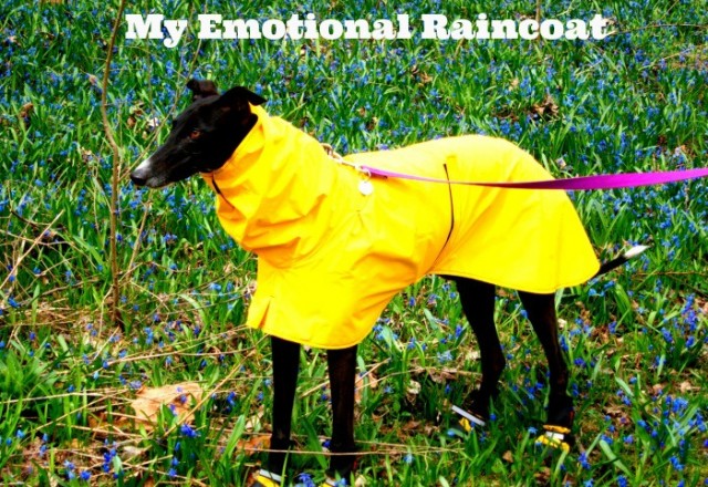 My Emotional Raincoat