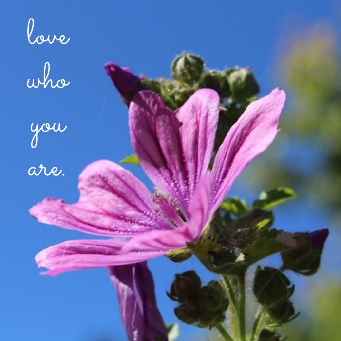 Love who you are