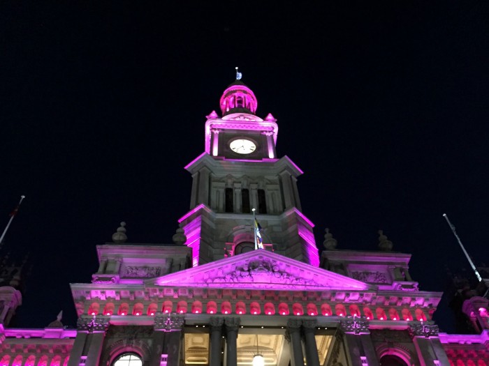 Vivid 2015 Town Hall