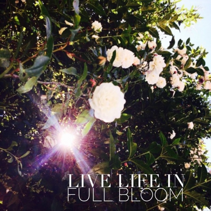 live life in full bloom