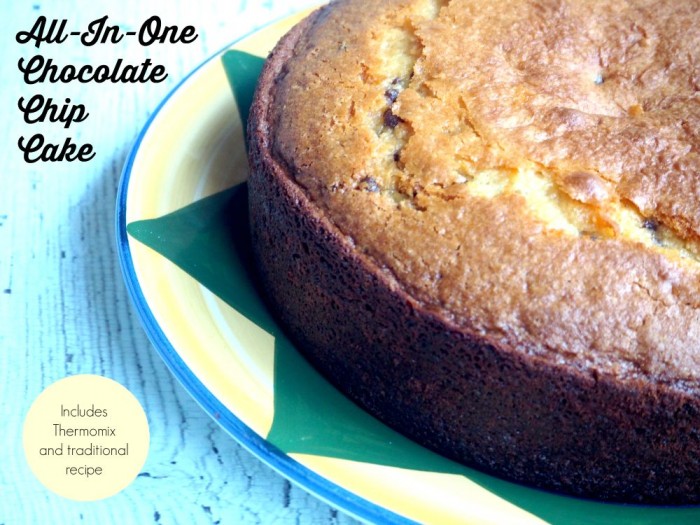 All in One Choc Chip Yoghurt Cake