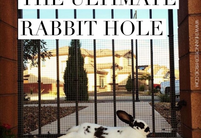 The Ultimate Rabbit Hole #33