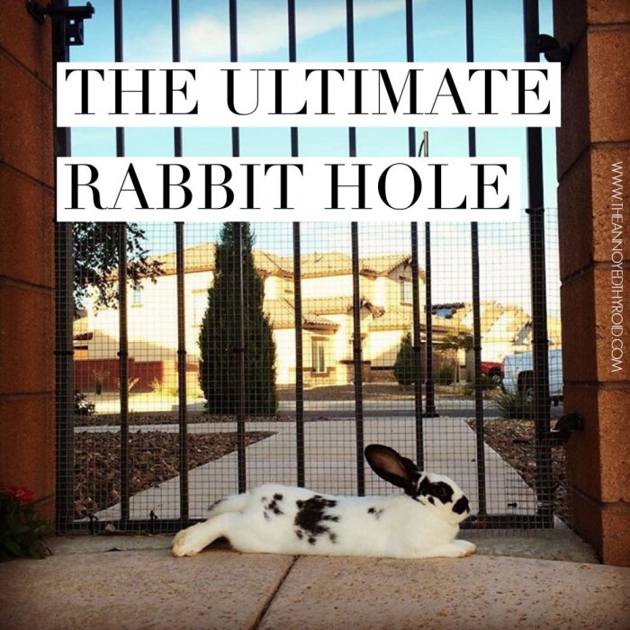 Ultimate Rabbit Hole 33