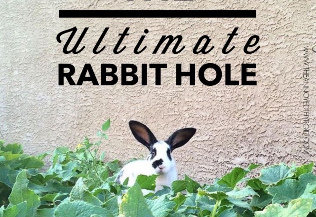 The Ultimate Rabbit Hole #35