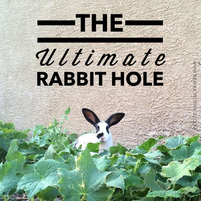 Ultimate Rabbit Hole #35