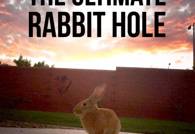 The Ultimate Rabbit Hole #36