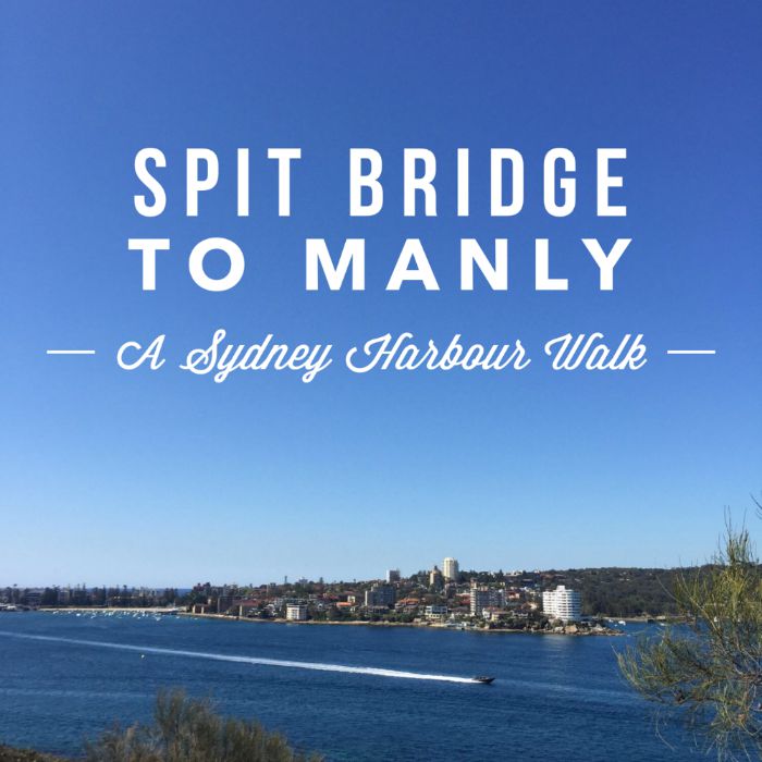 Spit to Manly 
