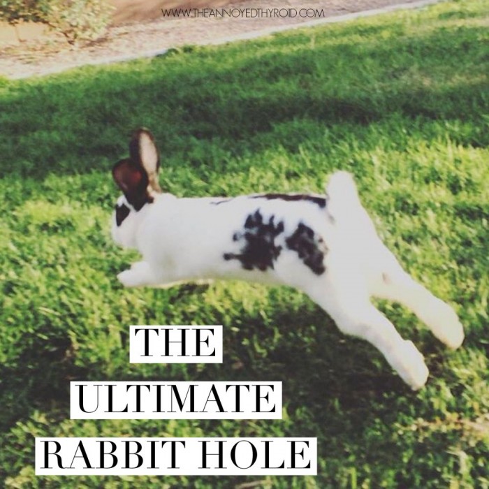 Ultimate Rabbit Hole #40