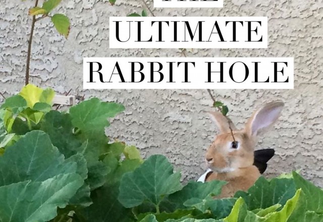 The Ultimate Rabbit Hole #91