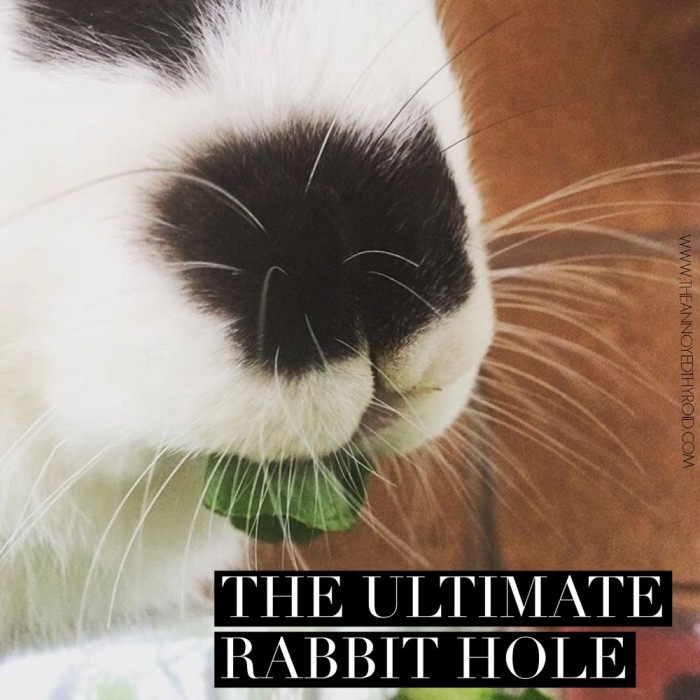 The Ultimate Rabbit Hole #44