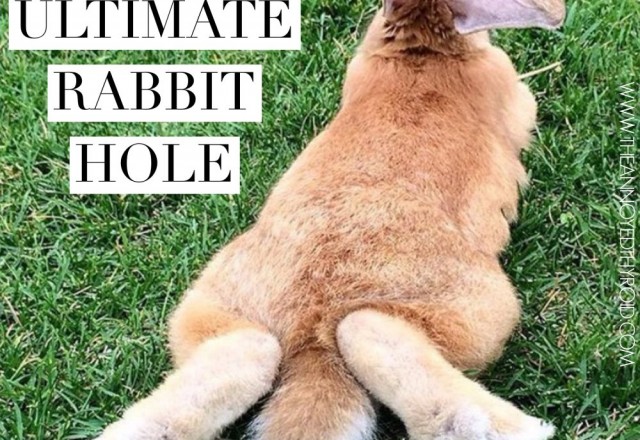 The Ultimate Rabbit Hole #46