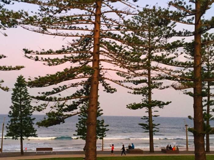 The Deck - Dee Why Beach