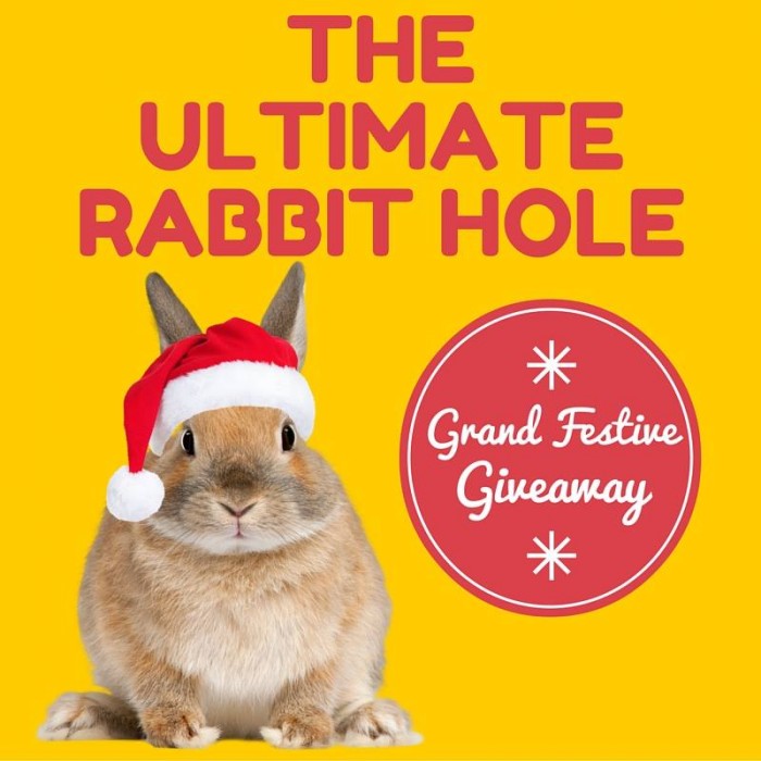 The Ultimate Rabbit Hole Christmas Giveaway