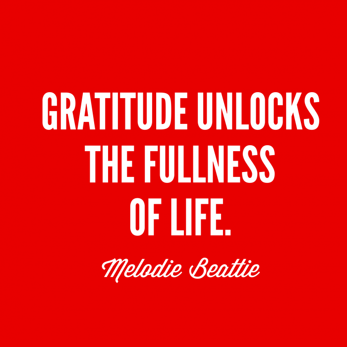 Gratitude unlocks the fullness of life