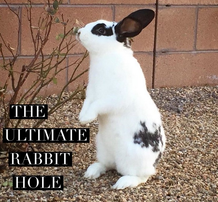 Ultimate Rabbit Hole 51