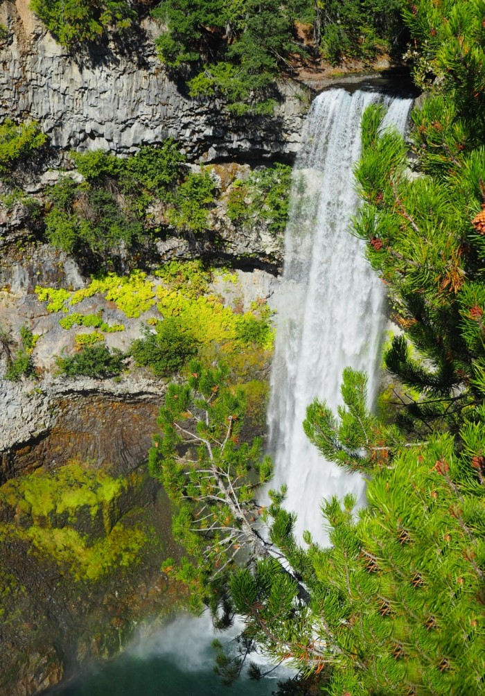 Brandywine Falls - whistler day tour