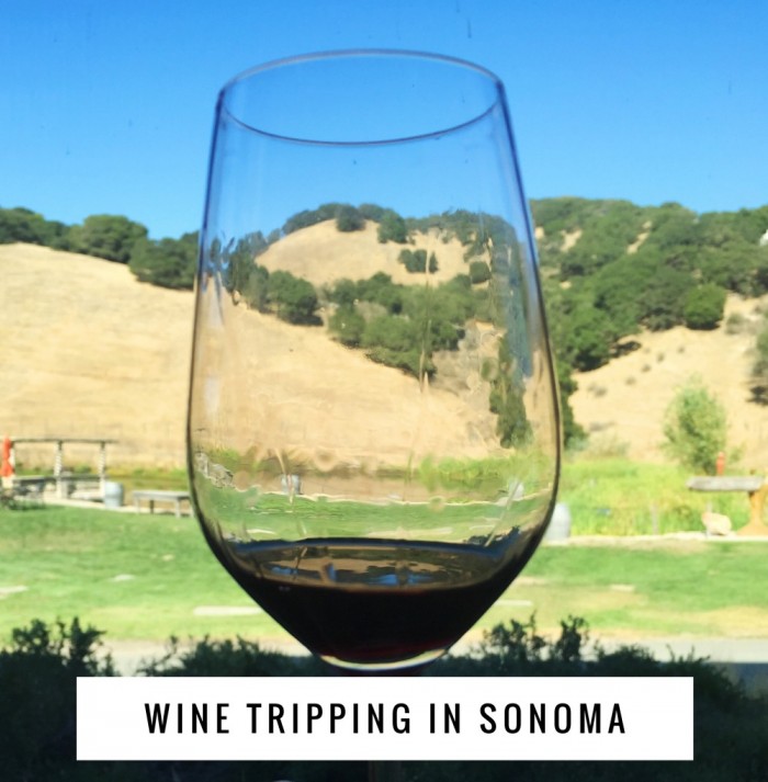 Wine trippping in Sonoma