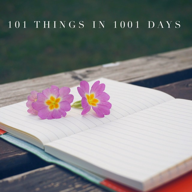 101-things in 1001 days