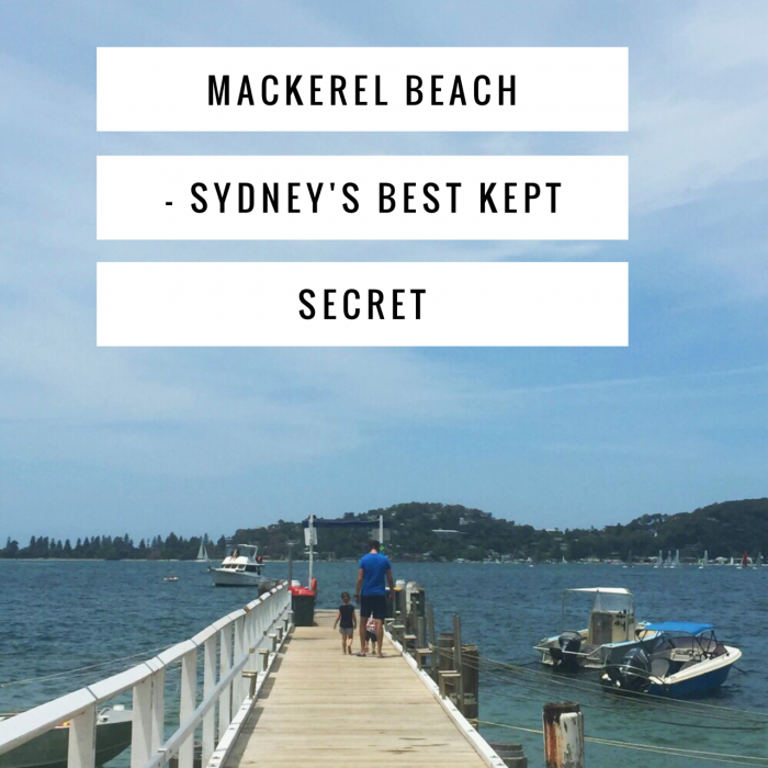 Mackerel Beach Sydney's Best Kept Secret