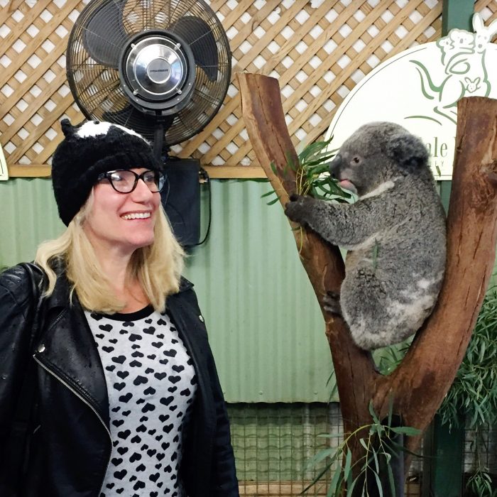 My expat story - koala