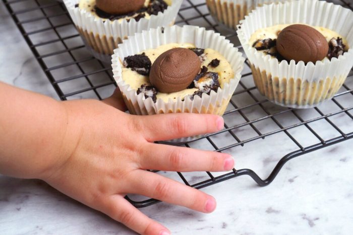 Oreo Egg Mini Cheesecakes